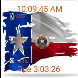 Texas Astros