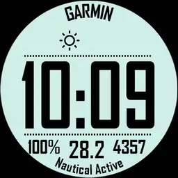Garmin