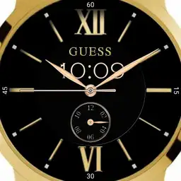 Guess Work Copy