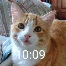 Danny