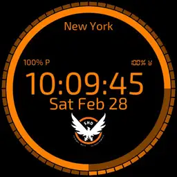 The Division X-01