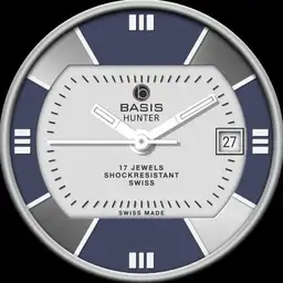 Basis Hunter