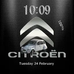 Citroen white face 16 Copy