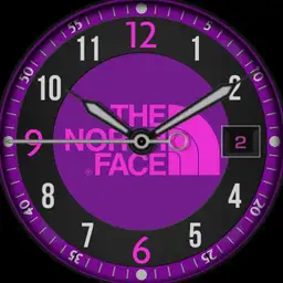the north face 1