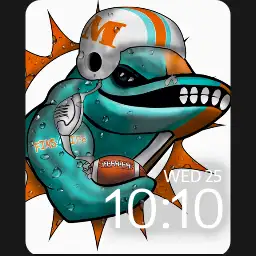 Miami Dolphins