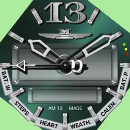 AM13-006