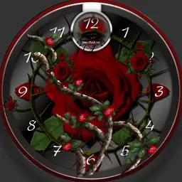 Rose 2