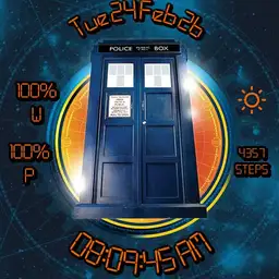 TARDIS face