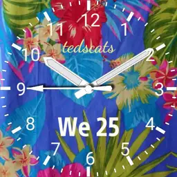 Hawaii 15