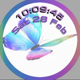 Butterfly Rainbow