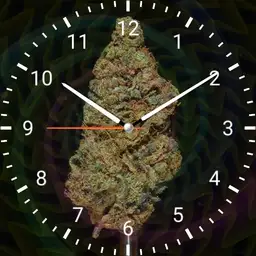 The perfect bud