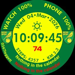 Minimalism Watch 3.1 NCFC