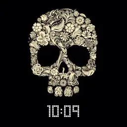 Digital Skull