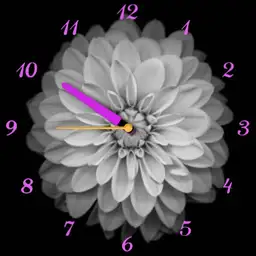 flor lila