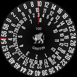 Time Rings 4.1 date ring