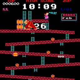 Donkey Kong 24h