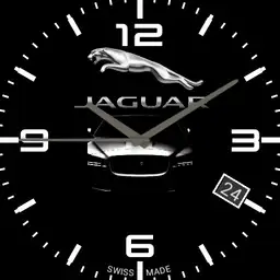 Jaguar Copy