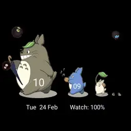 Totoro and friends