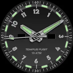Brute TEMPUS FUGIT Military Field Watch Colours