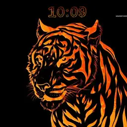 orange fire cat