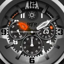 FTG BTR