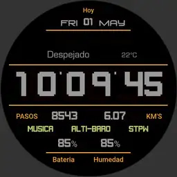 Gear Sport Watch beta
