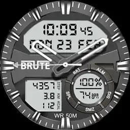 Brute Sport Anadigit Multi 10 WB