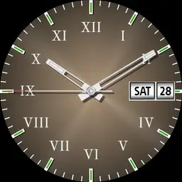 elegant Roman numerals.