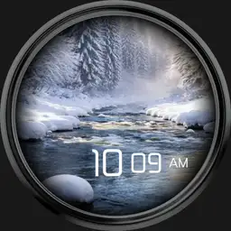 P00019