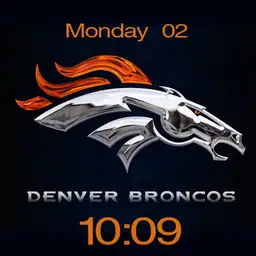 Denver Broncos tribute