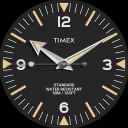 Timex STANDARD Field Watch