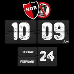 Cooleo Newells FlipWatch