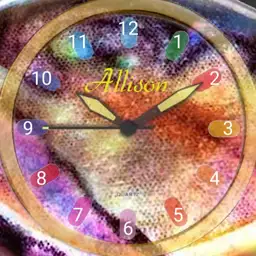 Rainbow Abalone Allison 1