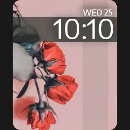 apple13 Copy