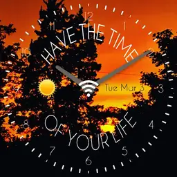 time of your life