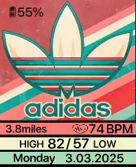 Berry Adidas Stripes