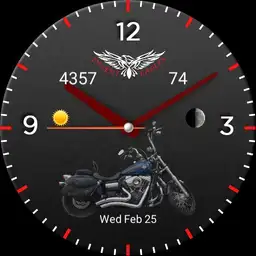 Harley davidson wild glide Dessert Eagles 2