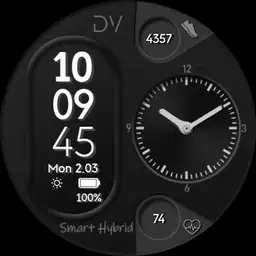 DiVive Smart Hybrid mk.1