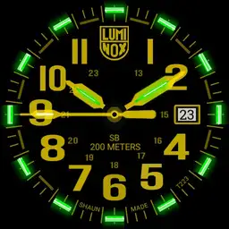 SB yellow NEW 1