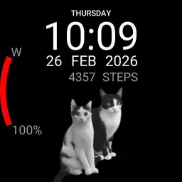 Cats v1.1