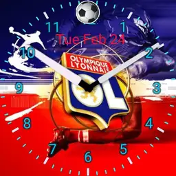 olympique lyonnais