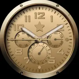 Brute GENERAL Military Field Watch Gold