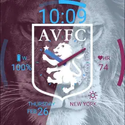AVFC 12TH MAN II