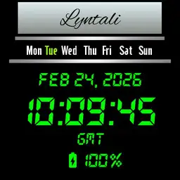 Lyntali Digital M4