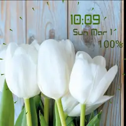 dodi, my lovely white
