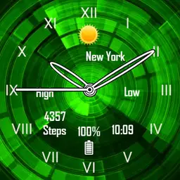 circuit