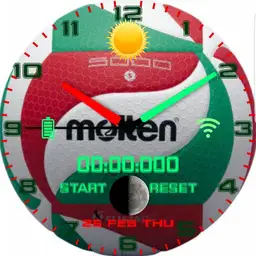 volleyball molten