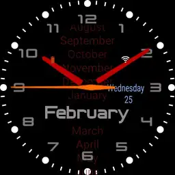 Anual Time 2
