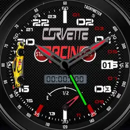 Corvette Racing #3