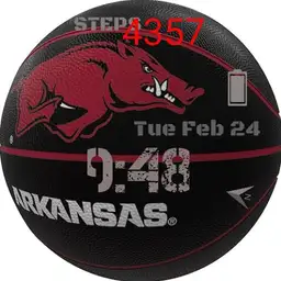 HOG BALL